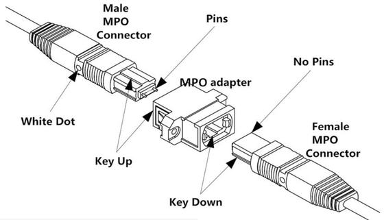 Fiber Optic MPO Cable Female Connector Jumper 2m (6ft) OS2 9/125 24 Core Single Mode